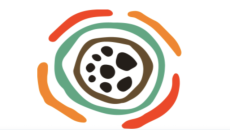 Aboriginal perspectives